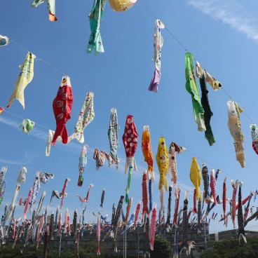 Takatsuki (Osaka), cerf-volants koi nobori au-dessus de la rivière Akuta au parc Akutagawa Sakurazutsumi 10