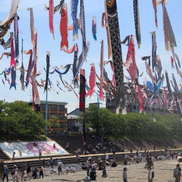 Takatsuki (Osaka), cerf-volants koi nobori au-dessus de la rivière Akuta au parc Akutagawa Sakurazutsumi 8