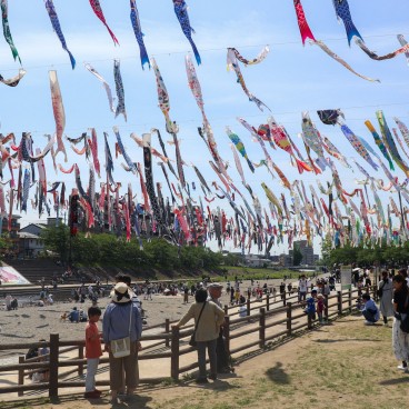 Golden Week au Japon, cerf-volants Koinobori au-dessus de la rivière Akuta au parc Akutagawa Sakurazutsumi à Takatsuki (Osaka)