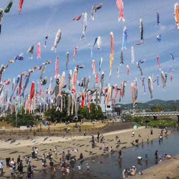 Takatsuki (Osaka), cerf-volants koi nobori au-dessus de la rivière Akuta au parc Akutagawa Sakurazutsumi 11