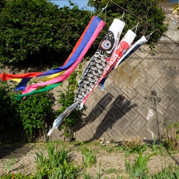 Perche koi nobori traditionnelle plantée dans un jardin privé au Japon