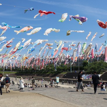 Takatsuki (Osaka), cerf-volants koi nobori au-dessus de la rivière Akuta au parc Akutagawa Sakurazutsumi