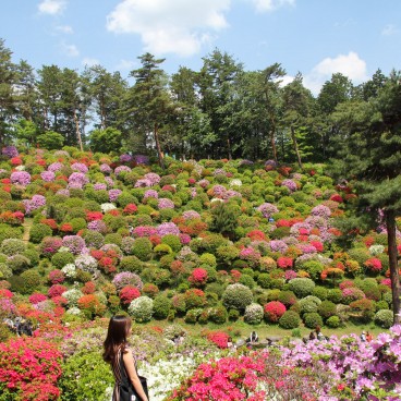 Visiteurs profitant des azalées au temple Shiofune Kannon-ji à Ome 2