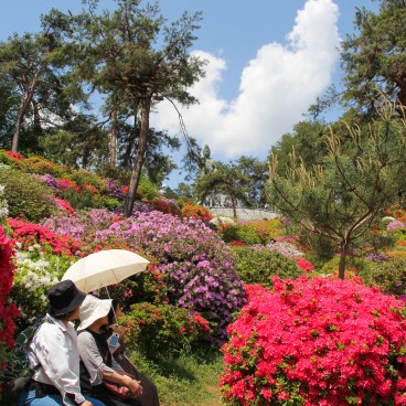 Visiteurs profitant des azalées au temple Shiofune Kannon-ji à Ome 