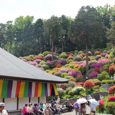 Temple Shiofune Kannon-ji à Ome 
