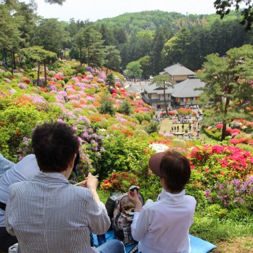 Shiofune Kannon-ji (Ome), visiteurs profitant de la floraison des azalées en avril et début mai