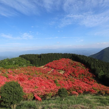 Vue sur les azalées du mont Yamato Katsuragi-san (Nara) 3