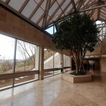 Musée Miho, ficus en intérieur dans le bâtiment des collections permanentes
