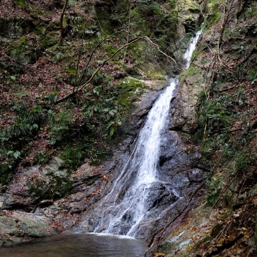 Thérapie en forêt de Yoshino, cascade Ryumon