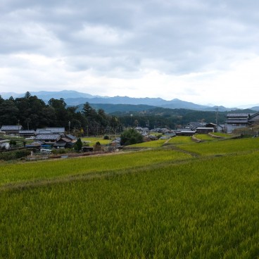 Thérapie en forêt de Yoshino, vue sur la campagne japonaise 2
