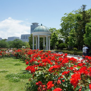 Yokosuka, jardin de roses au parc Verny