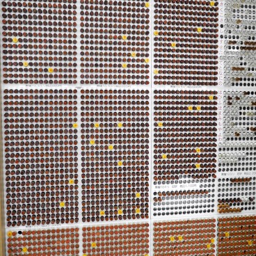 Boutique de hanko Hanno Ozawa (Fuji City), vitrine de tampons communs