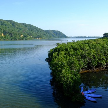Iriomote (Yaeyama - Okinawa), paddle sur la rivière Urauchi