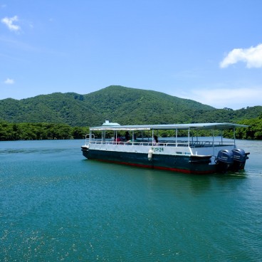 Iriomote (Yaeyama - Okinawa), croisière sur la rivière Urauchi