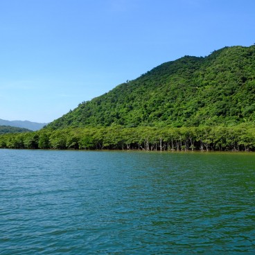 Iriomote (Yaeyama - Okinawa), vue sur la rivière Urauchi et la mangrove