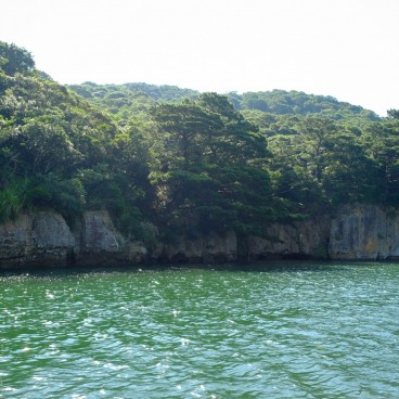 Iriomote (Yaeyama - Okinawa), croisière sur la rivière Urauchi 2