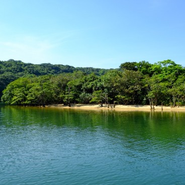 Iriomote (Yaeyama - Okinawa), vue sur la rivière Urauchi et la mangrove 2