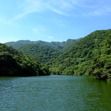 Iriomote (Yaeyama - Okinawa), croisière sur la rivière Urauchi 3