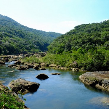 Iriomote (Yaeyama - Okinawa), croisière sur la rivière Urauchi 4