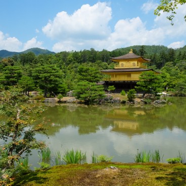 Kinkaku-ji (Kyoto), vue sur le Pavillon d'Or en juin 2020 (2)