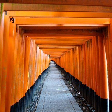 Fushimi Inari Taisha, Kyoto pendant le Coronavirus en juin 2020 (4)