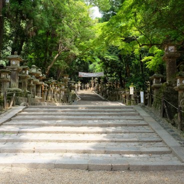 Kasuga Taisha, Nara pendant le Coronavirus en juin 2020 (4)