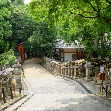 Kasuga Taisha, Nara pendant le Coronavirus en juin 2020 (5)
