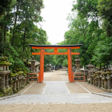 Kasuga Taisha, Nara pendant le Coronavirus en juin 2020 (6)