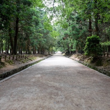 Parc de Nara en juin 2020 (2)