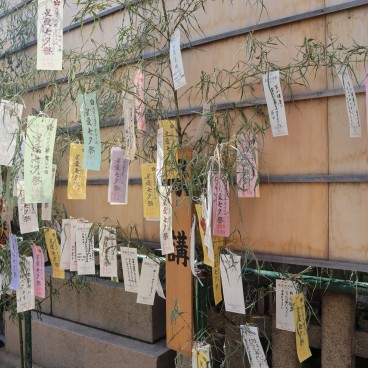 Sanctuaire Tenmangu à Osaka, Tiges de bambou ornées de tanzaku pour Tanabata