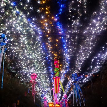 Festival Tanabata no Yube à Osaka, Voie Lactée du temple Tenno-ji 2