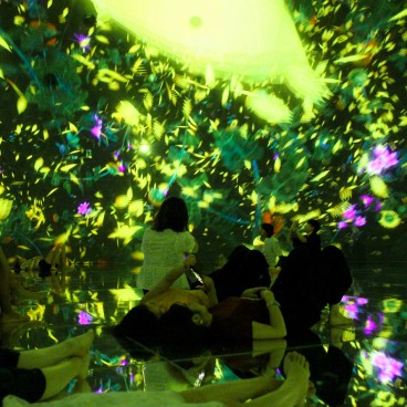 teamLab Planets (Tokyo), Floating in the Falling Universe of Flowers