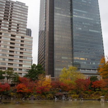 Tokyo Midtown, parc Hinokicho en automne