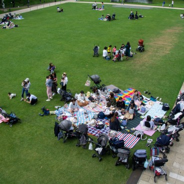 Tokyo Midtown, pelouse du Midtown Garden au printemps