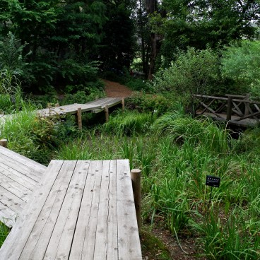 Jardin botanique Akatsuka, section médicinale Man'yo (Narimasu, Tokyo)
