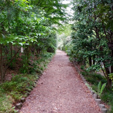 Jardin botanique Akatsuka (Narimasu, Tokyo) 2