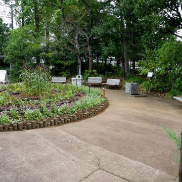 Jardin botanique Akatsuka, parterre de fleurs (Narimasu, Tokyo)