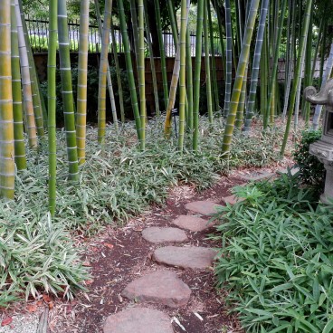 Jardin botanique Akatsuka, jardin japonais et forêt de bambous (Narimasu, Tokyo)