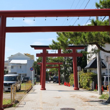 Hayama, portes torii du sanctuaire Morito-daimyojin