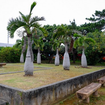 Miyakojima, aperçu du centre-ville Hirara