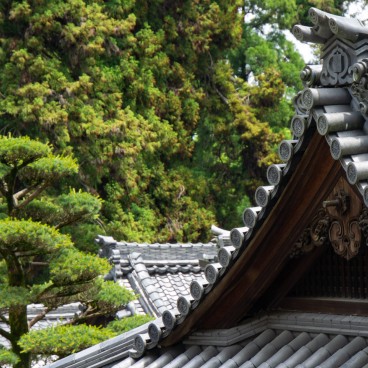 Hozan-ji (Nara), vue sur les toits du temple