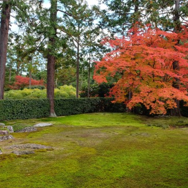 Entsu-ji (Kyoto), vue sur le jardin sec en automne