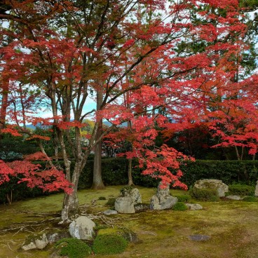 Entsu-ji (Kyoto), vue sur le jardin sec en automne 2