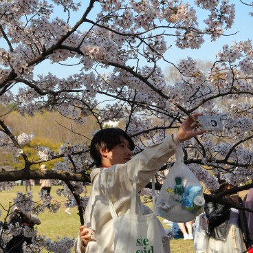 Parc Yoyogi (Tokyo), sac personnel à déchets après pique-nique sous les cerisiers