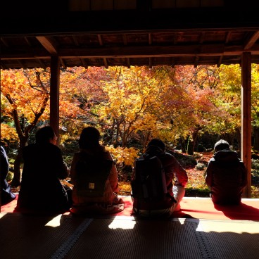 Enko-ji (Kyoto), contemplation du jardin en automne par les visiteurs du temple