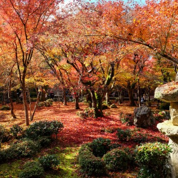 Enko-ji, jardin Jyu-gyu no niwa en automne 2