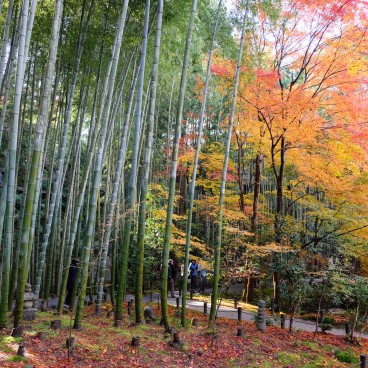 Enko-ji, bambouseraie Ohkyo-chikurin
