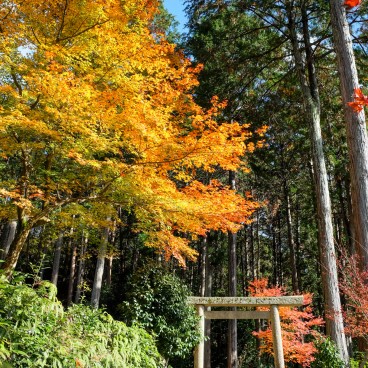 Enko-ji, torii de pierre