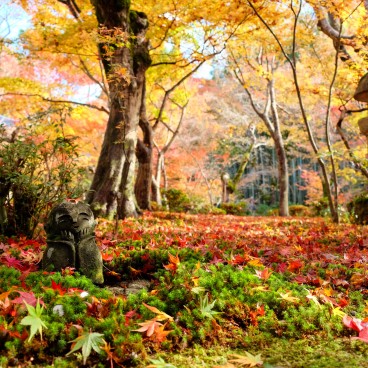 Enko-ji (Kyoto), statue de warabe-Jizo et jardin à l'automne
