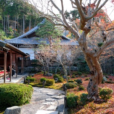 Enko-ji, vue sur le jardin Jyu-gyu no niwa en automne